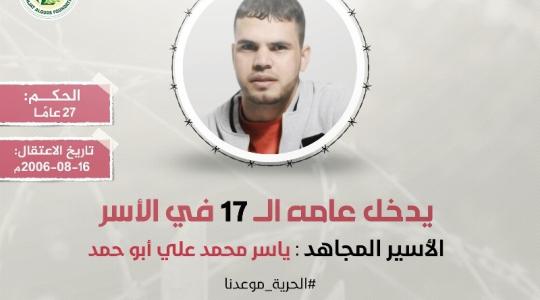 ياسر ابو حمد.jpg