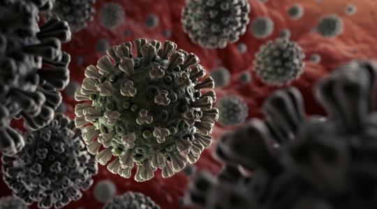 علماء يحذرون من فيروس جديد "قاتل" شبيه بالإيبولا "مهيأ للانتقال'' إلى البشر وقد يسبب الجائحة القادمة