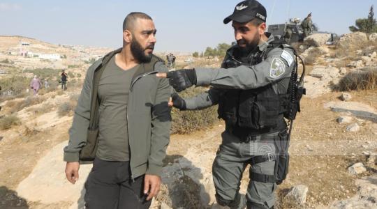 الاحتلال يجبر قاطفي الزيتون على مغادرة أراضيهم شرق رام الله