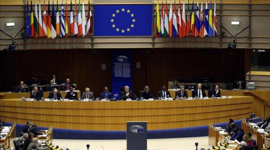 برلمانية أوروبية: من المضحك المطالبة بتسليح أوكرانيا وغض النظر عما يحدث في فلسطين واليمن