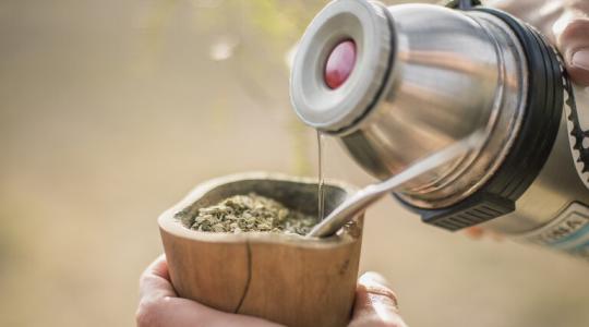 خبراء صحيون يحذرون من "المتة"