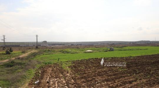 ارشيفية