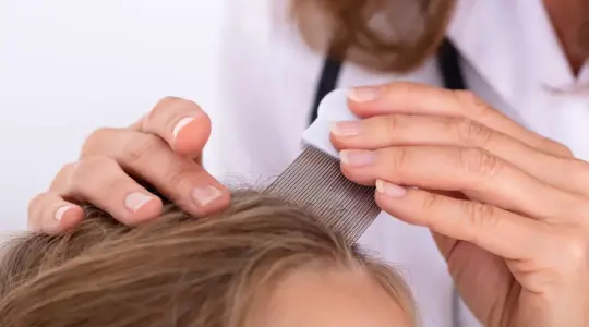 تفسير حلم القمل في المنام وقتله للمتزوجة