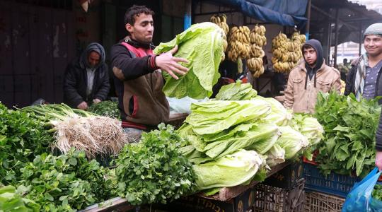 أسعار الخضروات والدجاج والبيض في غزة اليوم الأربعاء 8 -3- 203