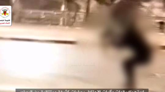 سرايا القدس.PNG