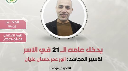 عليان.jpg