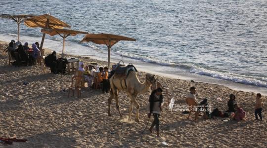 شاطئ بحر غزة  -ارشيفية