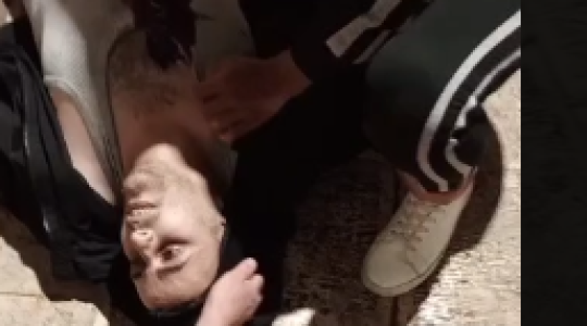 شهيد.PNG