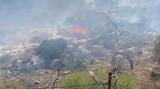 مستوطنون يحرقون عشرات الدونمات الزراعية في نابلس