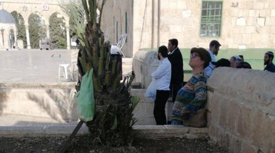 مستوطنون يقتحمون المسجد الأقصى المبارك بحماية قوات الاحتلال