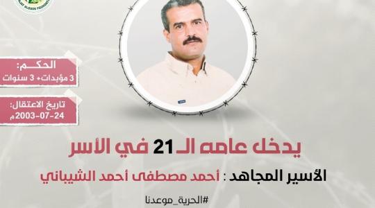الأسير أحمد الشيباني.jpeg