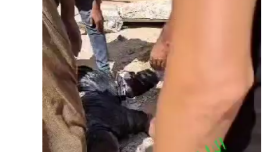 مقتل مواطن.PNG