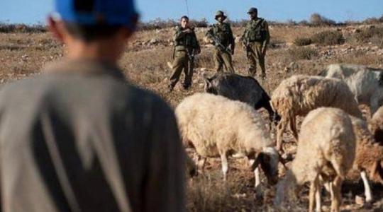 قوات الاحتلال تعتقل مزارعًا غرب سلفيت