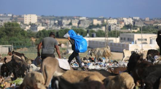 النبش في القمامة.. مهنة جديدة لفقراء غزة (9).JPG