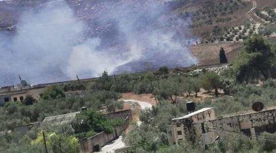 جنوب نابلس (2).jpeg