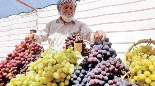 صورة ارشيفية من الانترنت