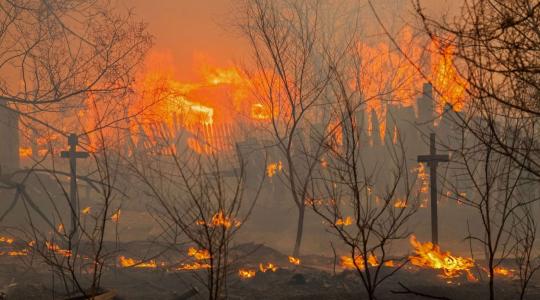 ارتفاع عدد ضحايا حرائق الغابات في هاواي إلى 67