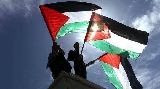 علم فلسطين12
