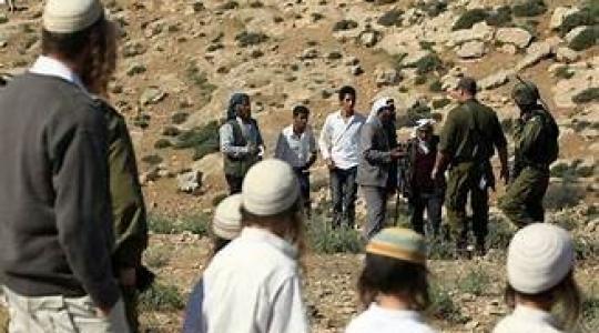 ارشيفية