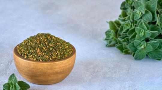 عشبة السماق