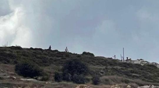 مستوطنون يهاجمون أراضي المواطنين في جنوب بيت لحم