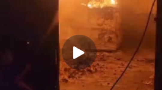 صورة من الفيديو