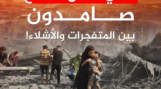 صورة الخبر