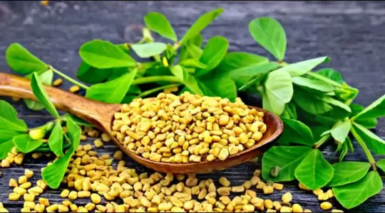 فوائد الحلبة الصحية