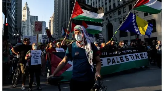 مؤيدو فلسطين