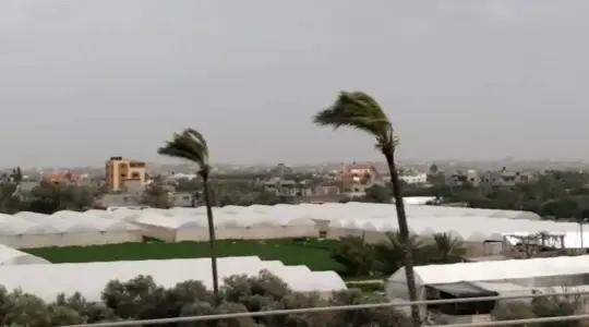 طقس فلسطين