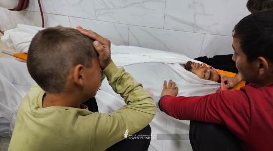 ارشيفية