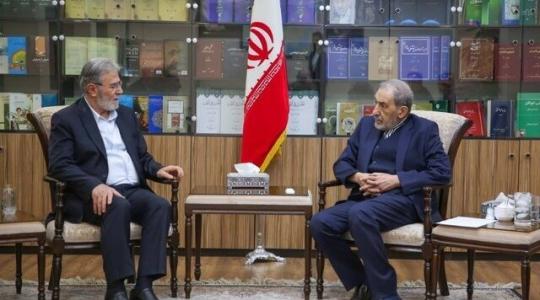 لقاء النخالة مع على أكبر ولايتي