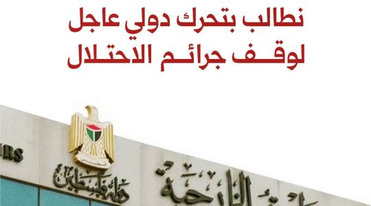 وزارة الخارجية الفلسطينية.jpeg