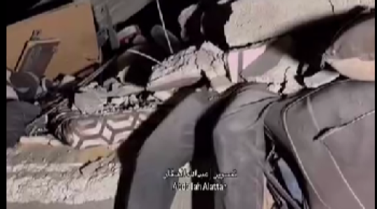 شهيد