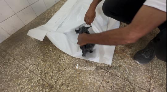 جنين ريهام أبو هين (1).jpeg