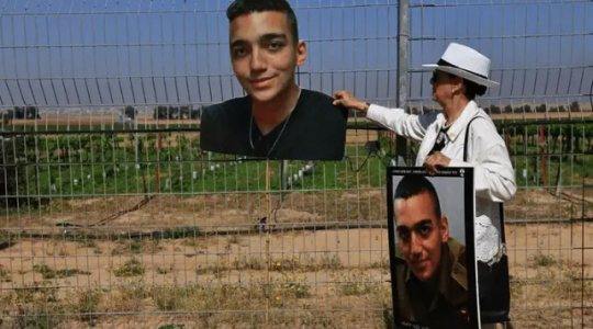 عيدان ألكسندر.PNG