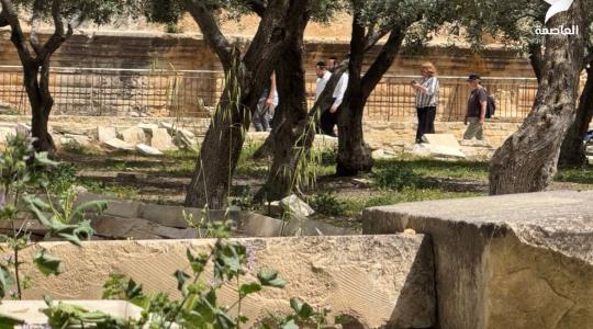 مستعمرون يقتحمون المسجد الأقصى