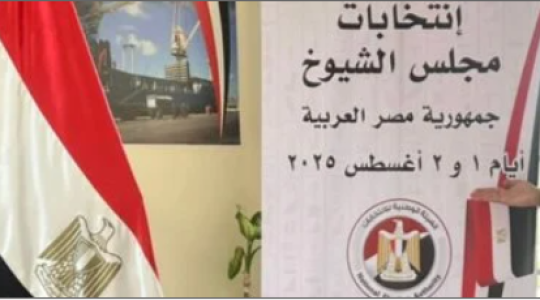 انتخابات مجلس الشيوخ المصرية.PNG