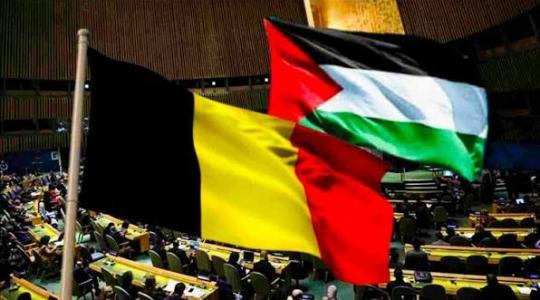 بلجيكا وفلسطين