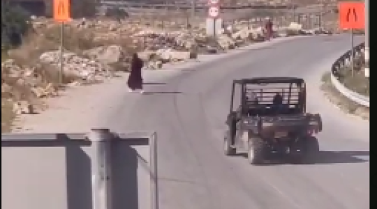 محاولة دهسها.PNG