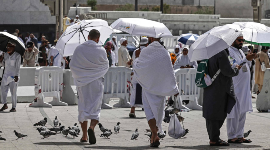 بث مباشر صعود الحجاج إلى صعيد عرفة 2026