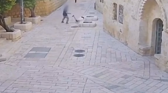 راهب على فرنسا.PNG
