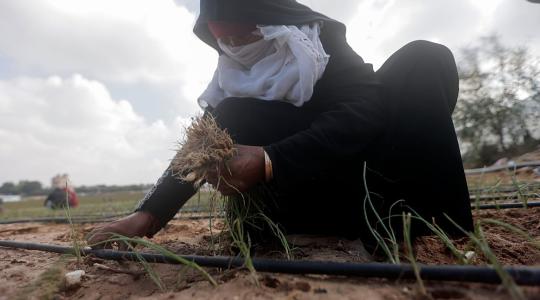 صورة توضيحية