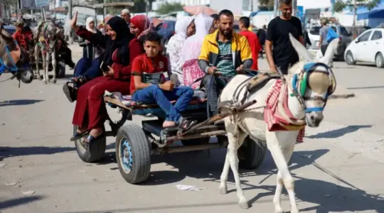 عربة يجرها حمار في غزة