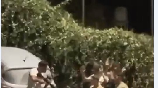 اعتداء مستوطن.PNG