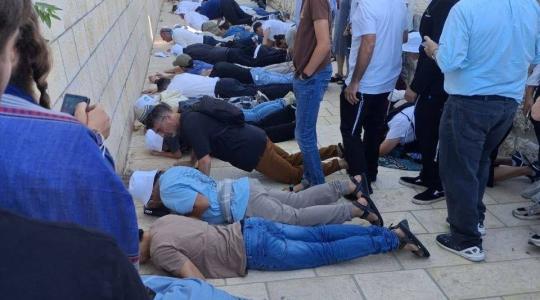 مئات المستوطنين يقتحمون باحات المسجد الأقصى