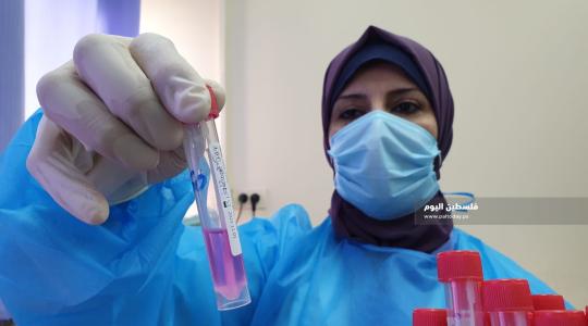 فلسطين تسجّل وفاة واحدة و330 إصابة جديدة بفيروس كورونا