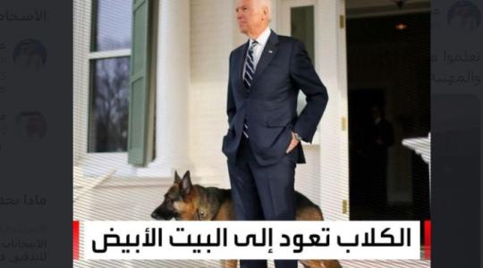 صورة الكلاب تعود إلى البيت الأبيض سقطة مهنية من قناة العربية السعودية.JPG