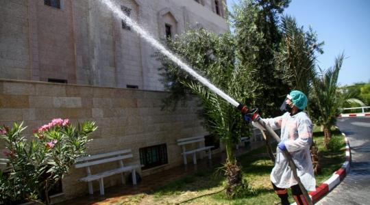 فيروس كورونا في غزة