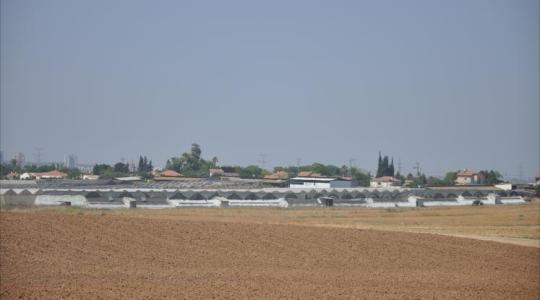 أرشيفية